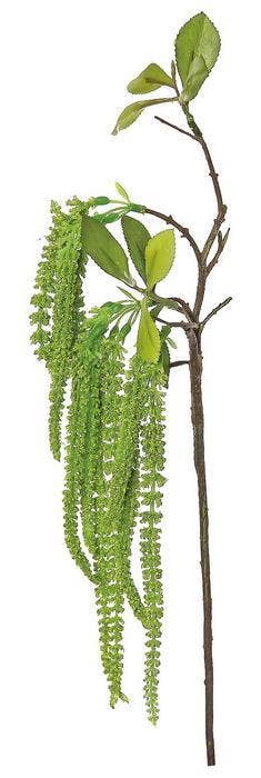 Mini Amaranthus, 19", Green
