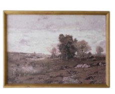 Framed Prints
