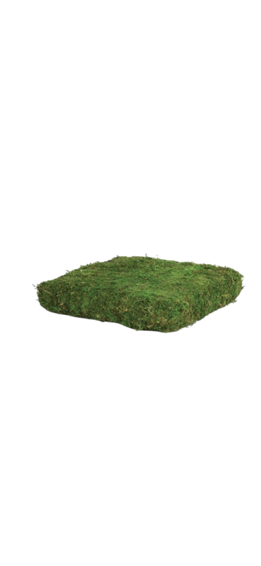Square Moss Riser