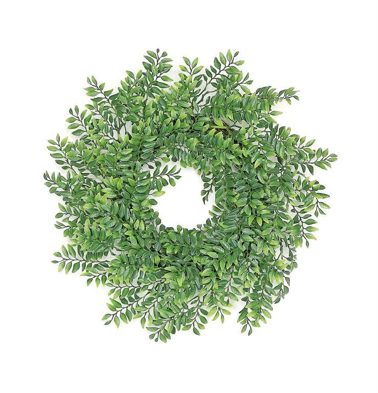 Button Leaf Fern Wreath, 24", Green
