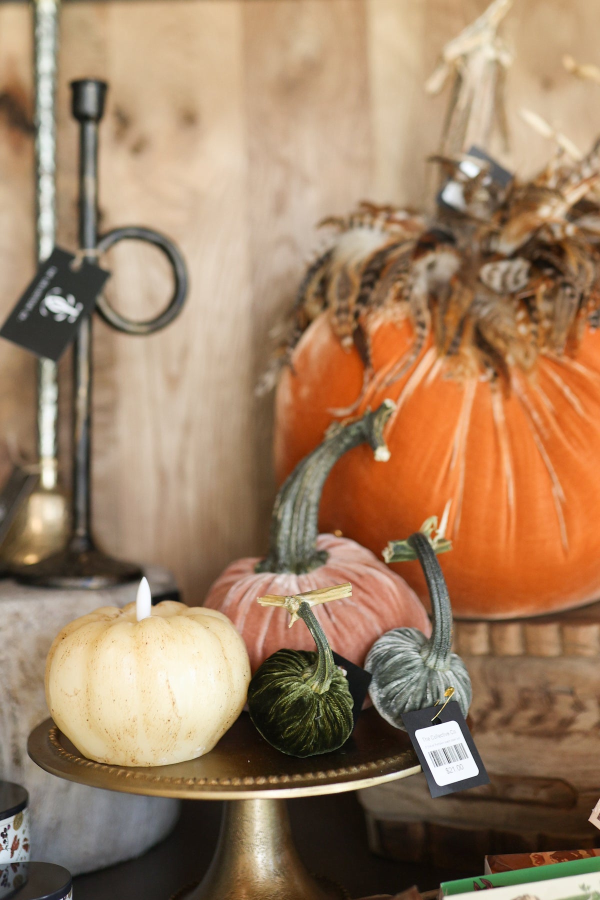 13" Spice Velvet Pumpkin with Feathered Collar (each stem will differ)