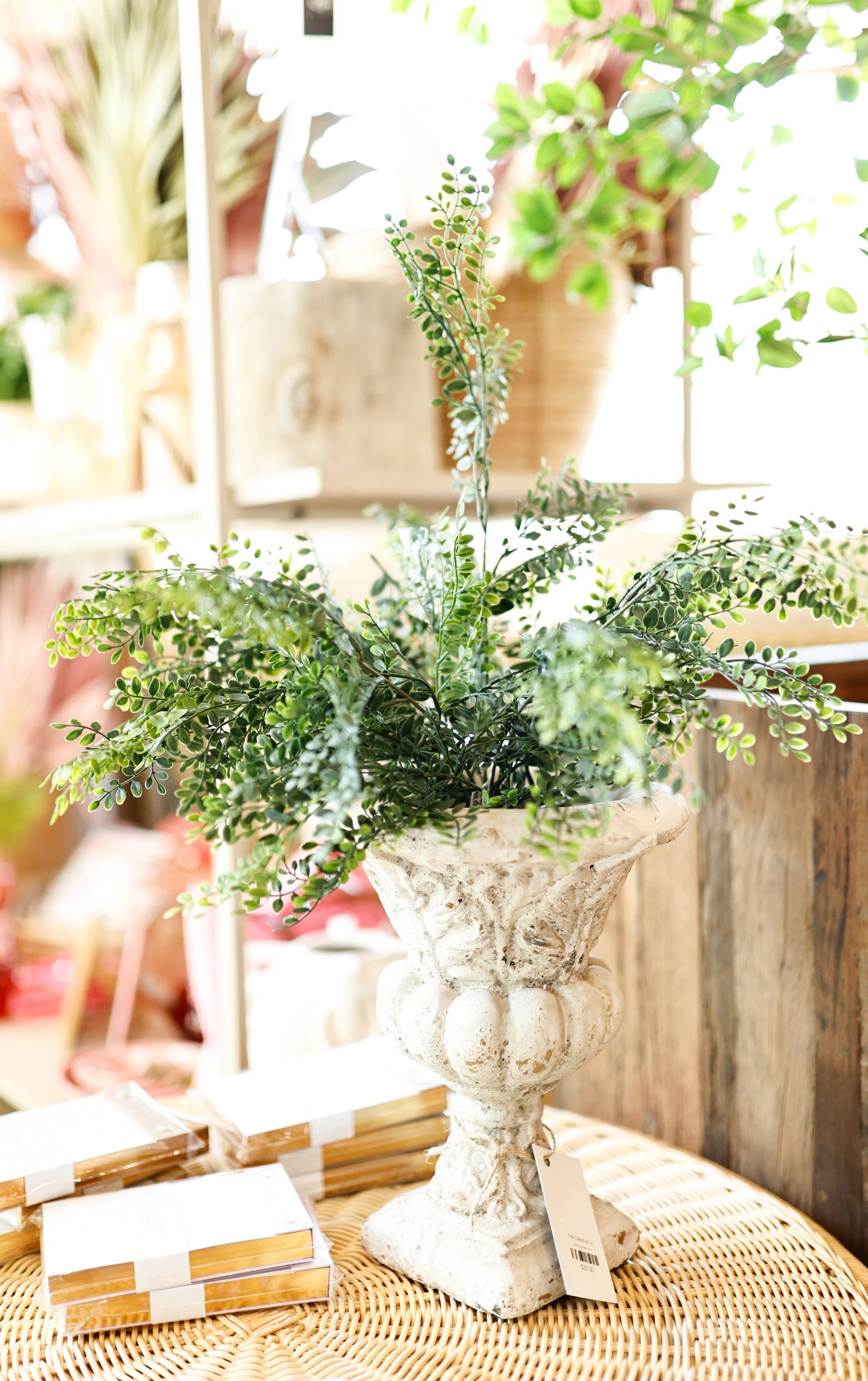 16.5" MAIDENHAIR FERN IN POT