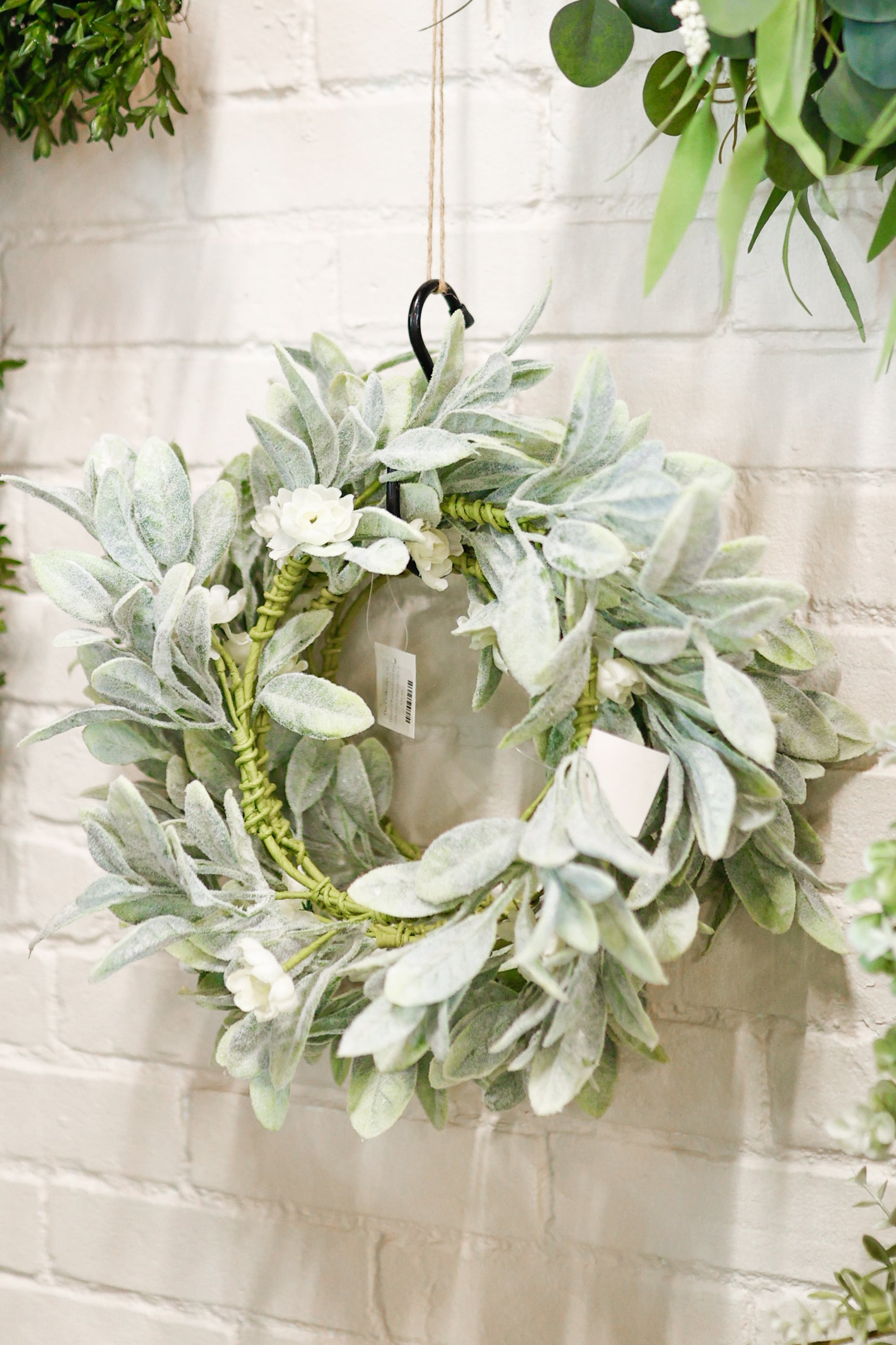 14in(6.5)Wreath-Lamb Ears with Cream Ranunculus