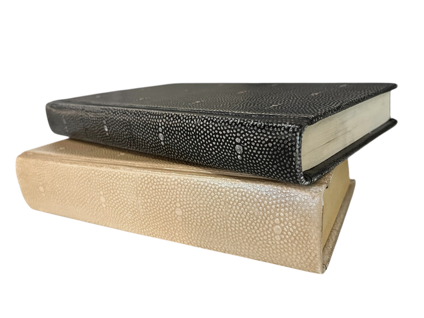 Mix of Tan and Charcoal Shagreen Book