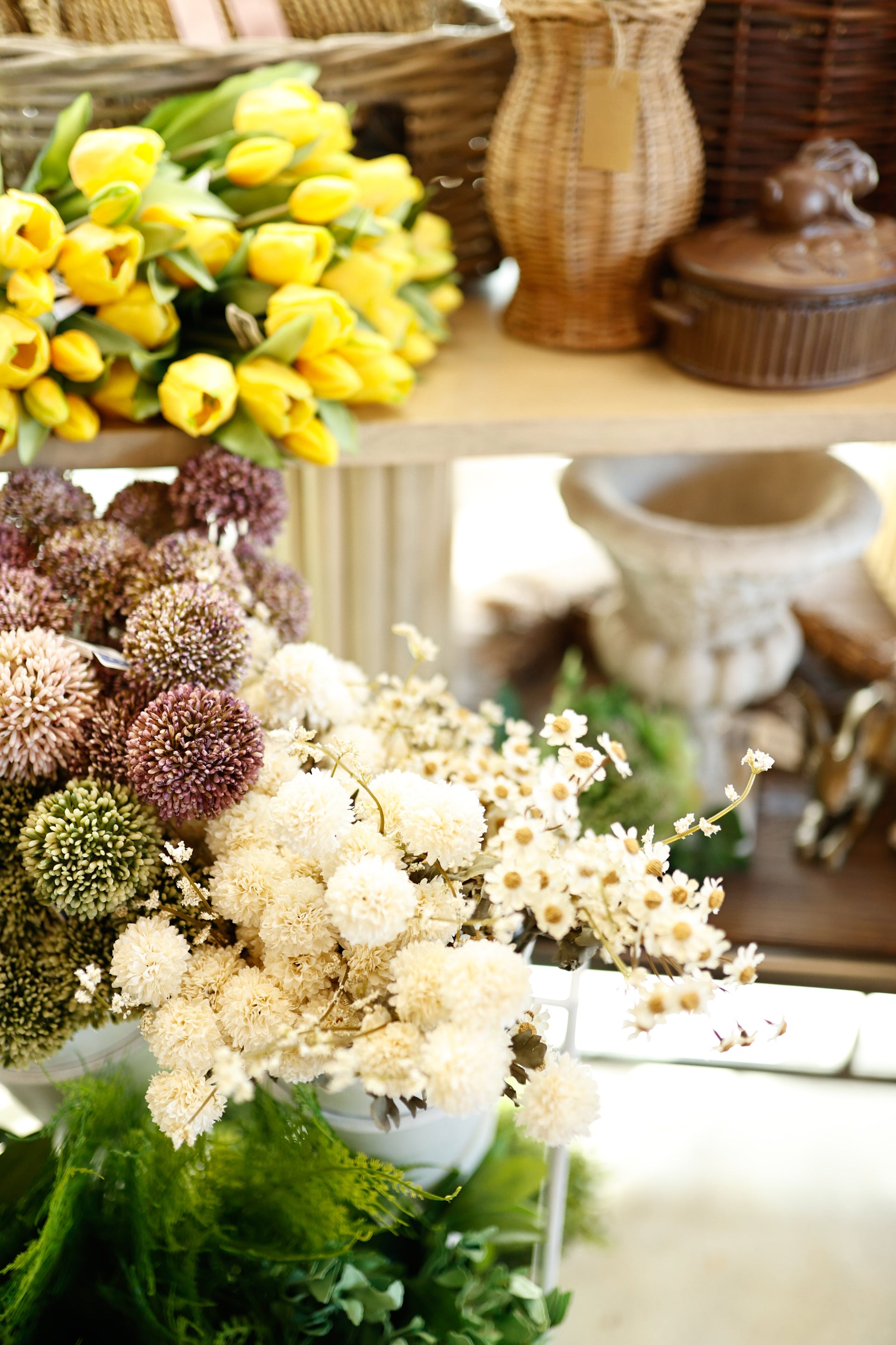 13.5" Aster Mum Bundle