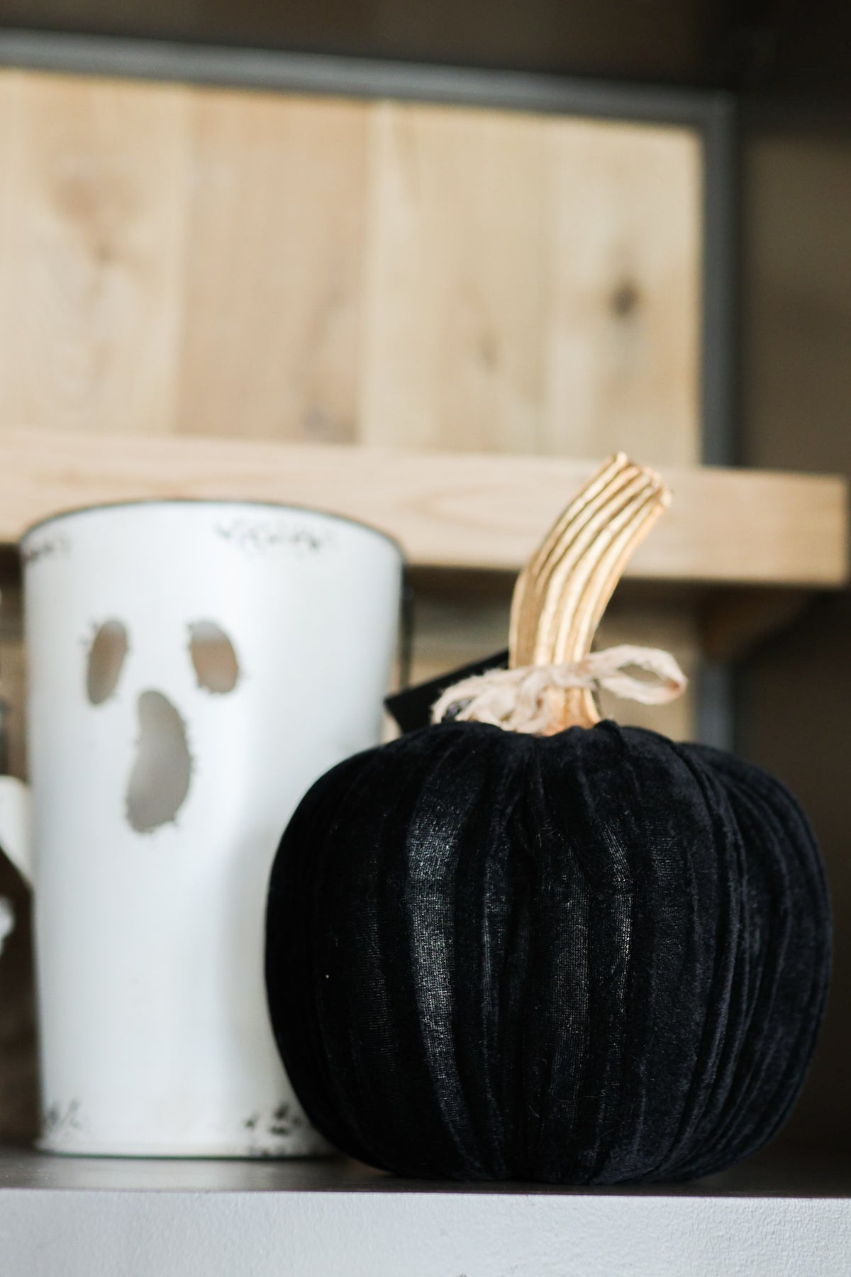 Black Velvet Pumpkin