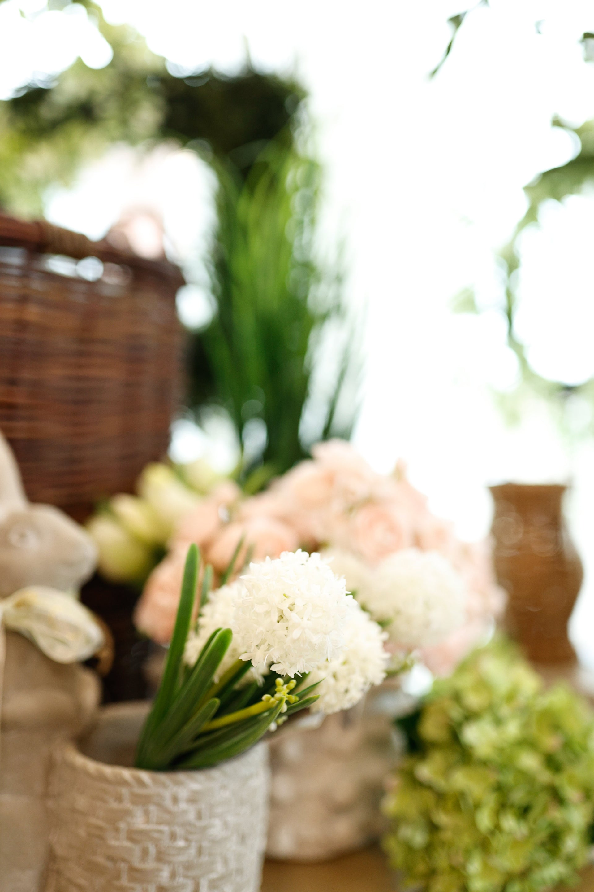 Wild Allium Bundle 11.02" White