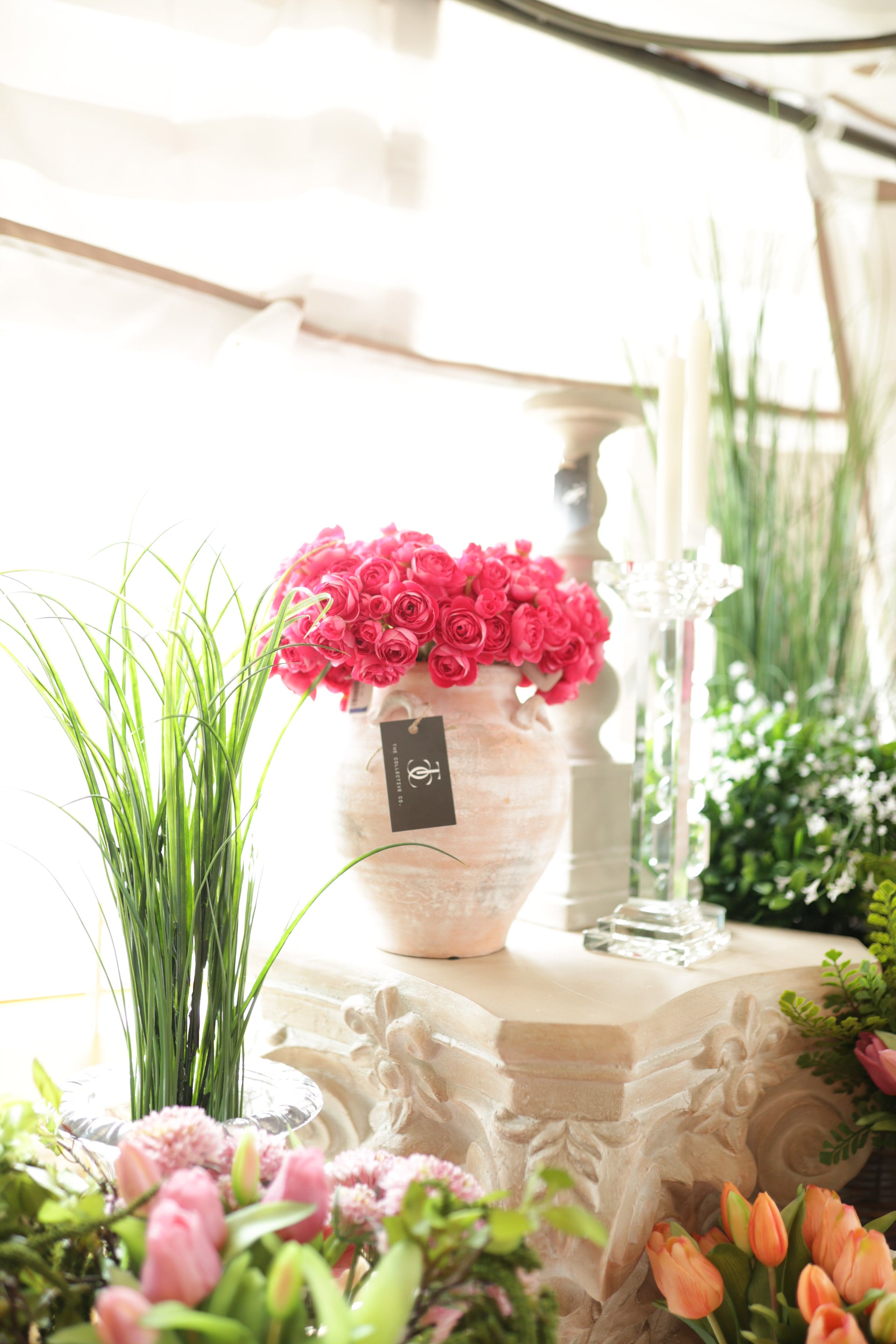 10" Mini Beauty Ranunculus Bundle