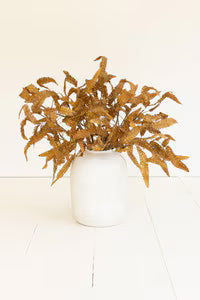 Botanica #3553