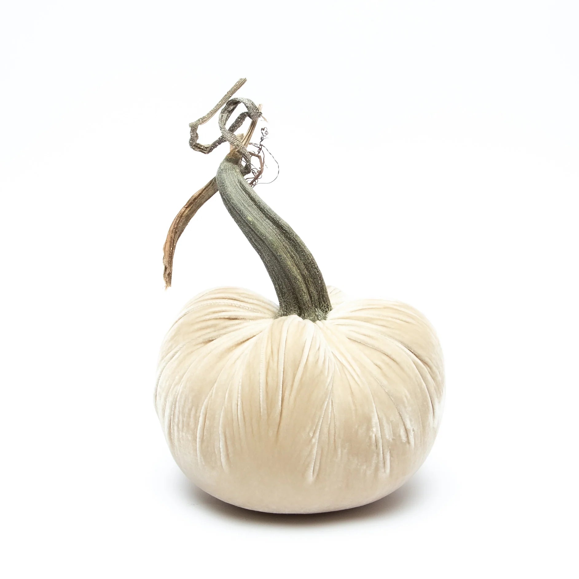 10" Velvet Pumpkin (each stem will differ)