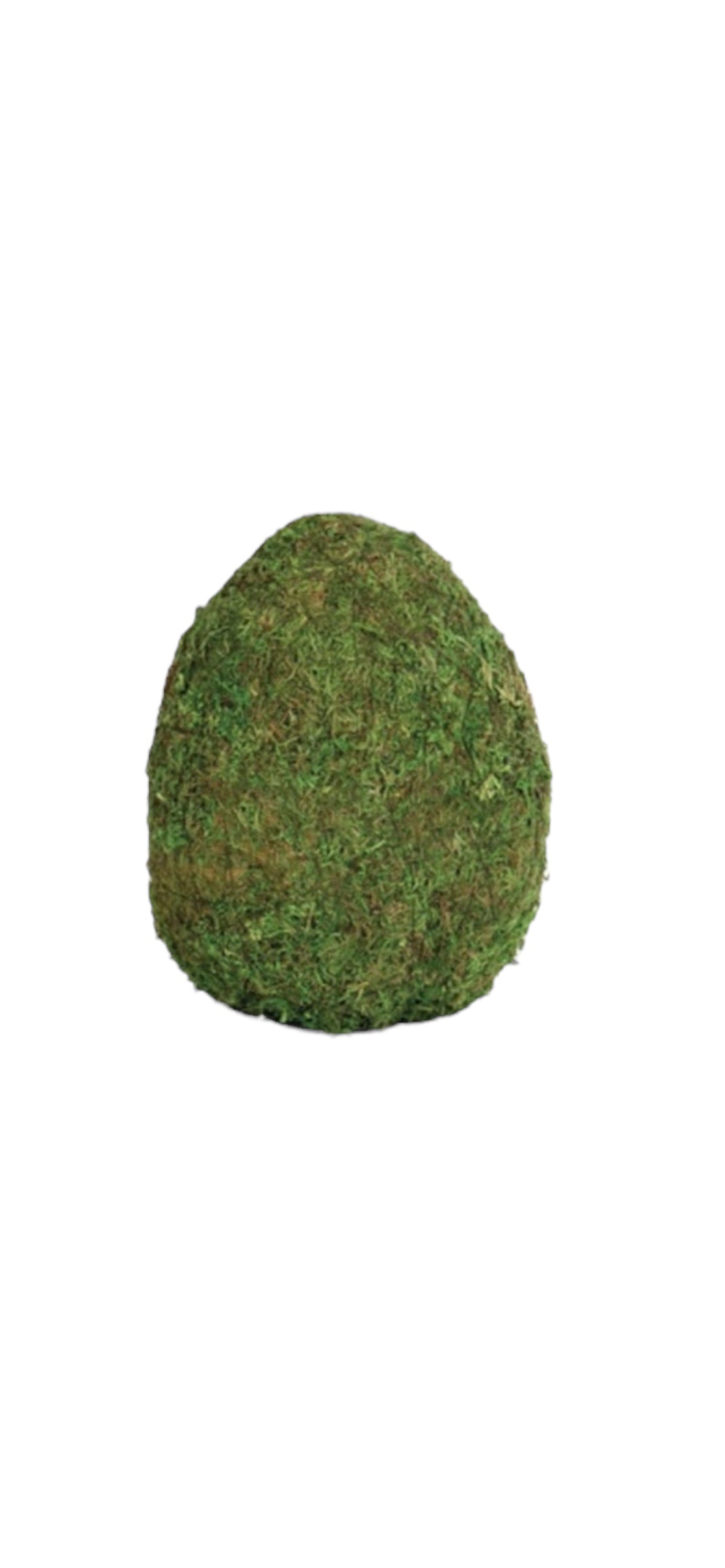 Small Moss Egg