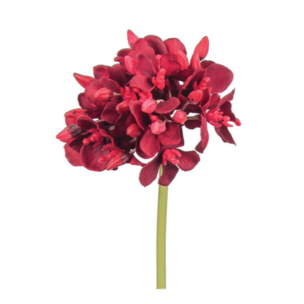 Red Flower Bud Stem