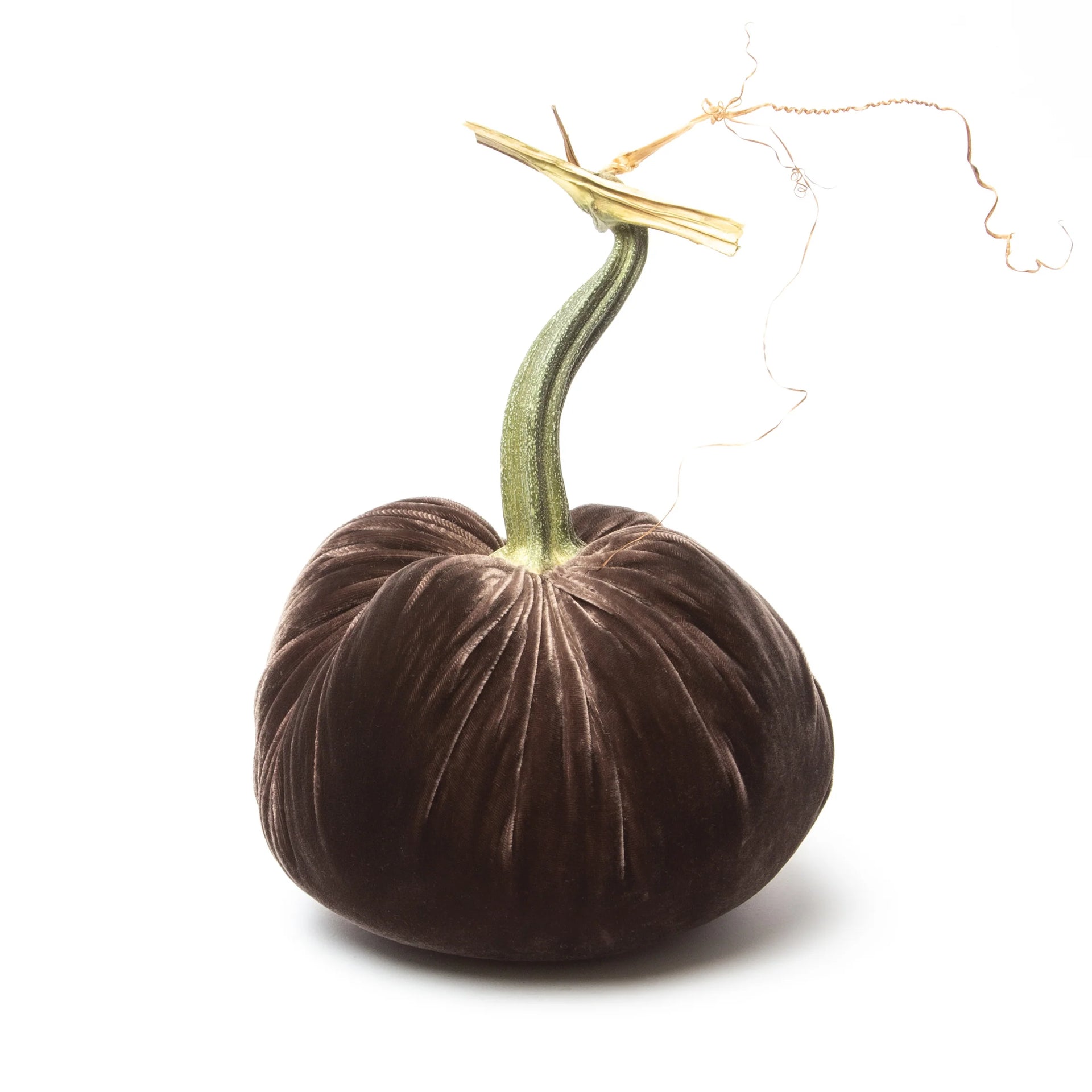 8" Velvet Pumpkin (each stem will differ)