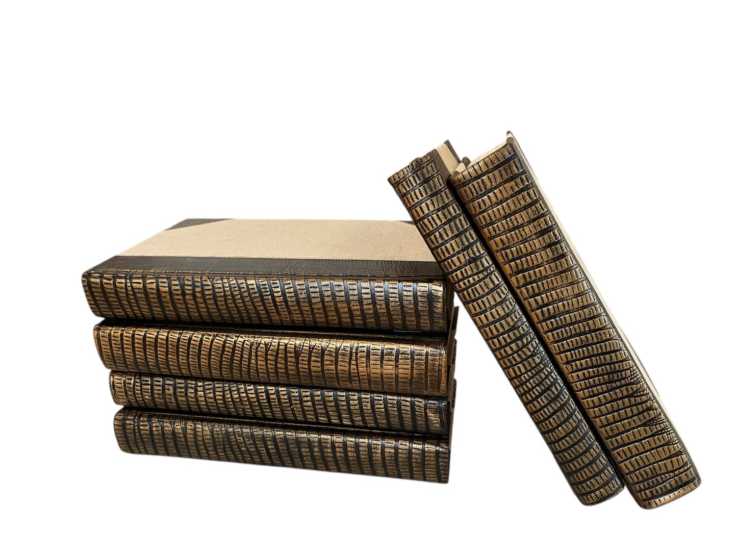 Python Leather and Antique Brass Book