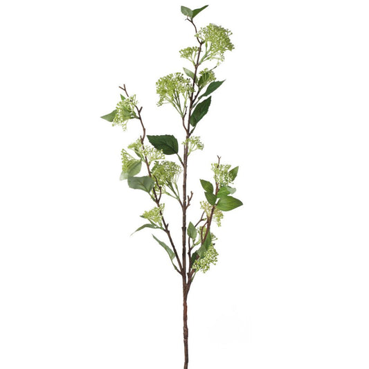 Fruit Spray Branch