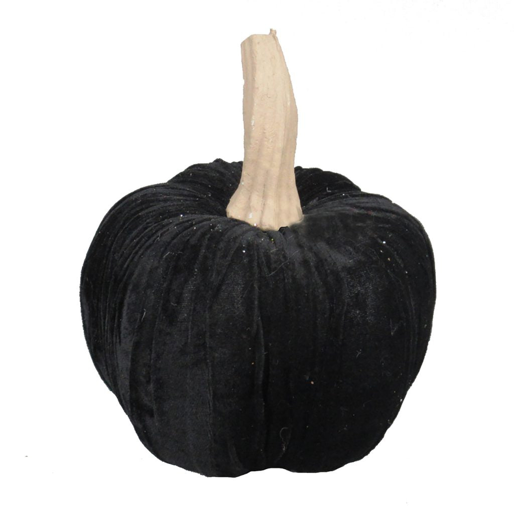 Black Velvet Pumpkin