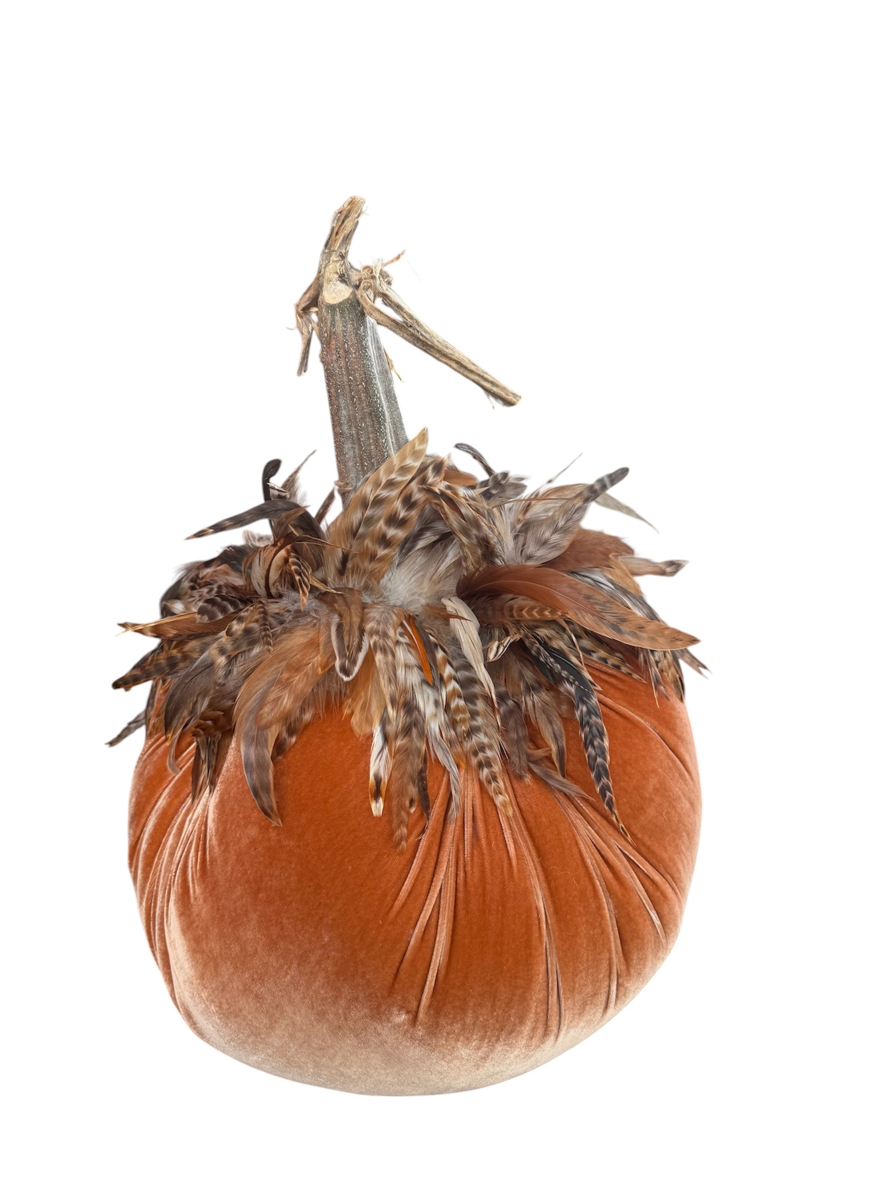 13" Spice Velvet Pumpkin with Feathered Collar (each stem will differ)