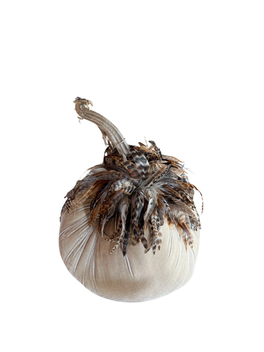 LE Silk Velvet Pumpkin with Feather Collar
