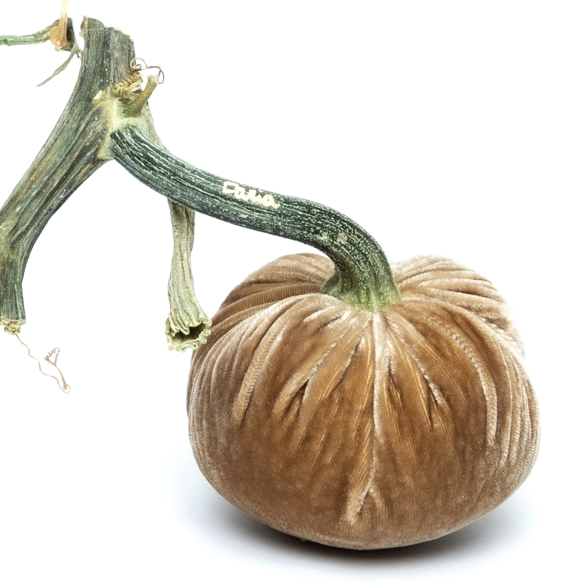 4" Velvet Pumpkin (each stem will differ)