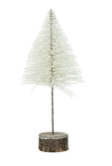 White Bottle Brush Tree