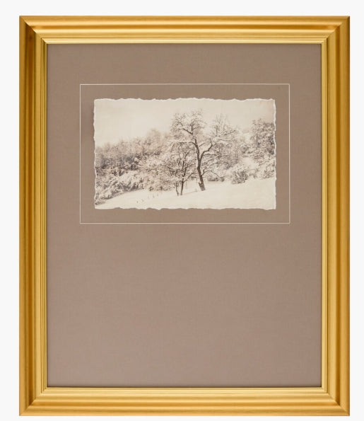 Coconino Framed Print