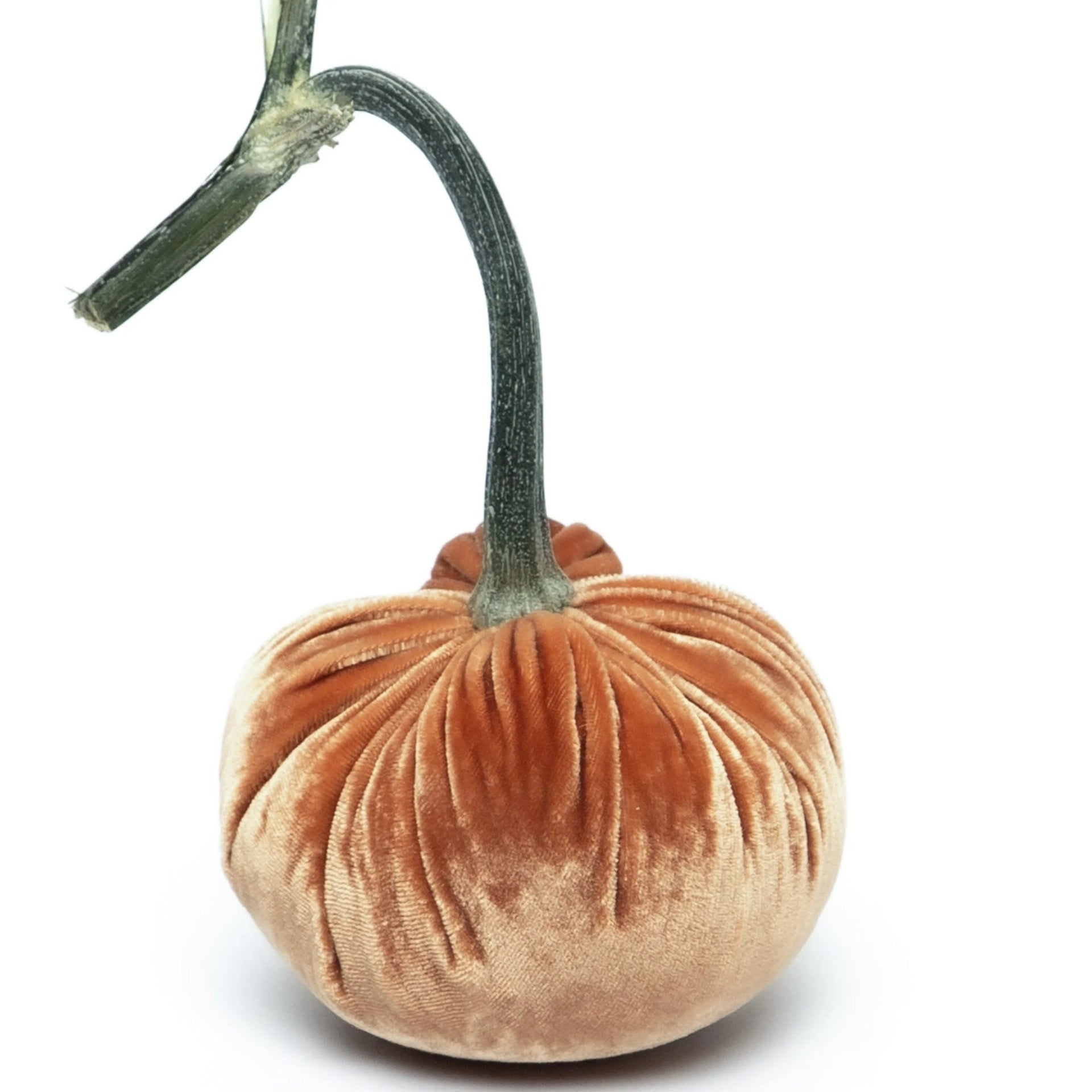 3" Velvet Pumpkin (each stem will differ)