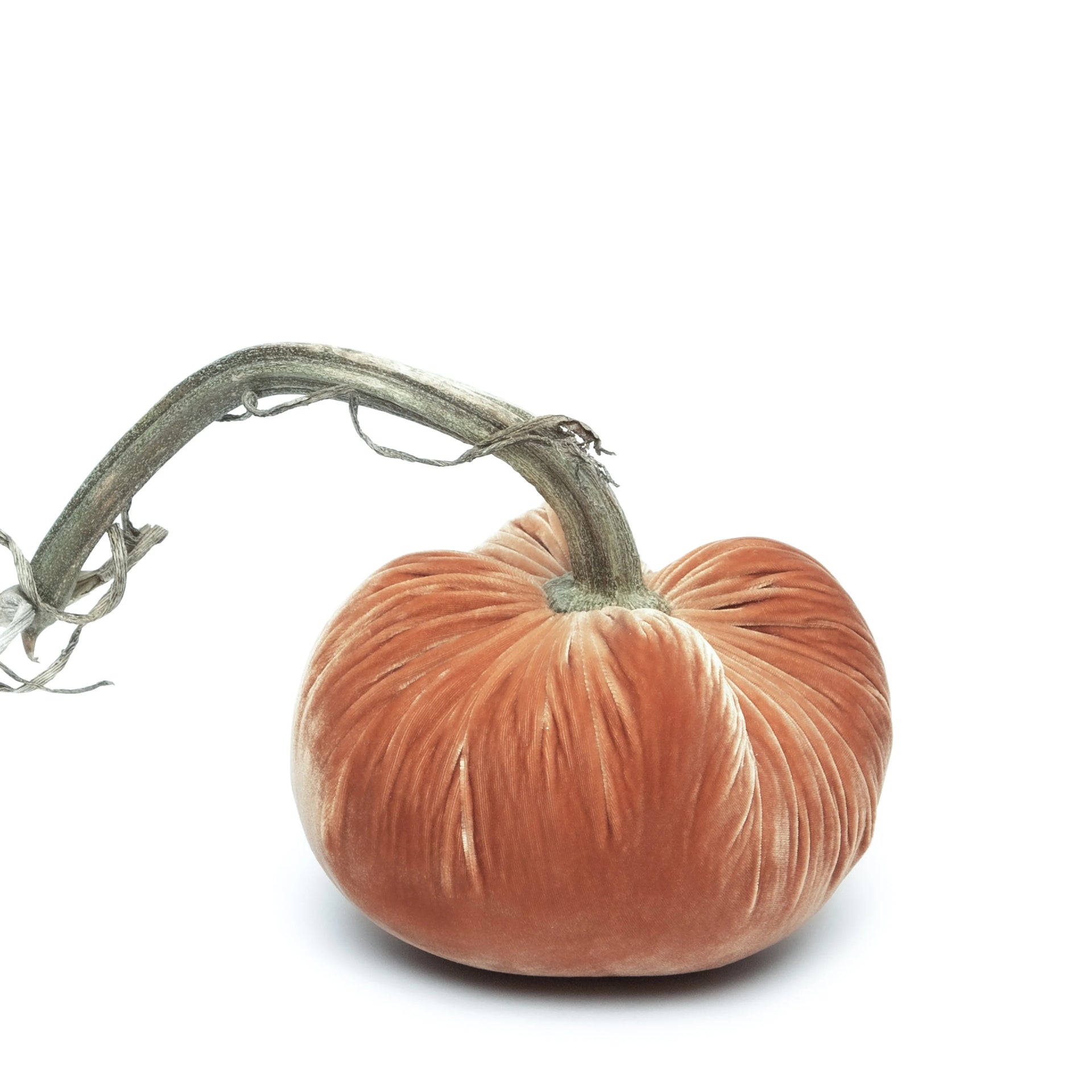 10" Velvet Pumpkin (each stem will differ)