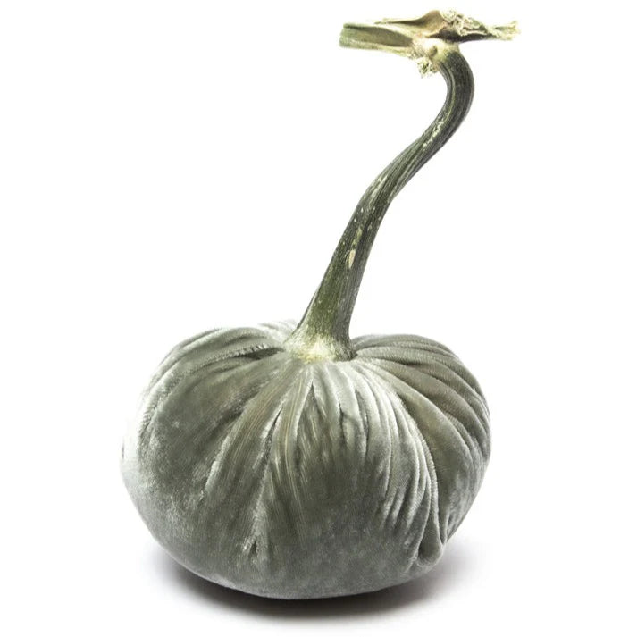 3" Velvet Pumpkin (each stem will differ)