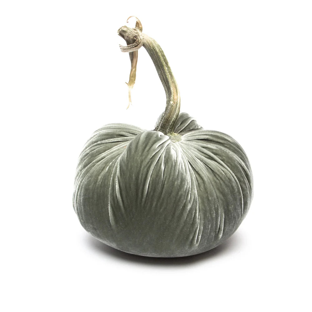 8" Velvet Pumpkin (each stem will differ)