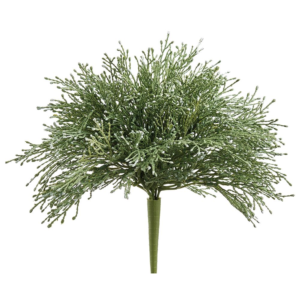 12" Whisk Fern Bush