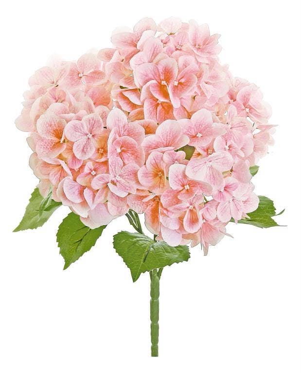 Hydrangea Bush, 21", Natural Touch, Coral