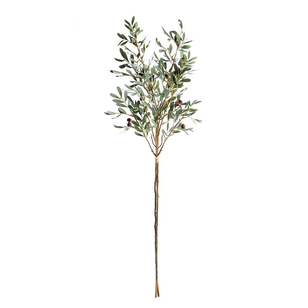Olive Branches With Olives 42”