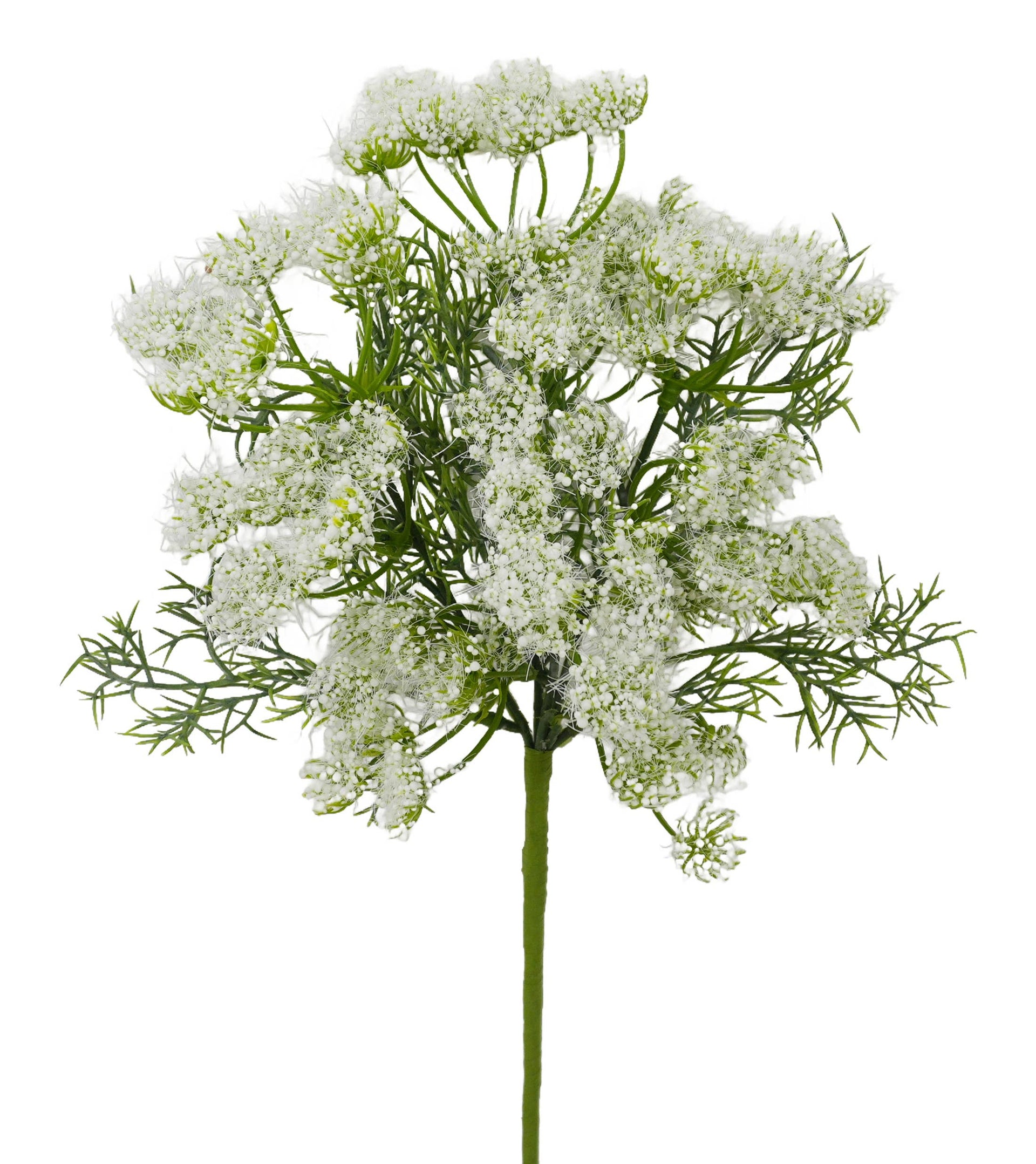 QUEEN ANNE'S LACE SPRAY, 16", WHITE