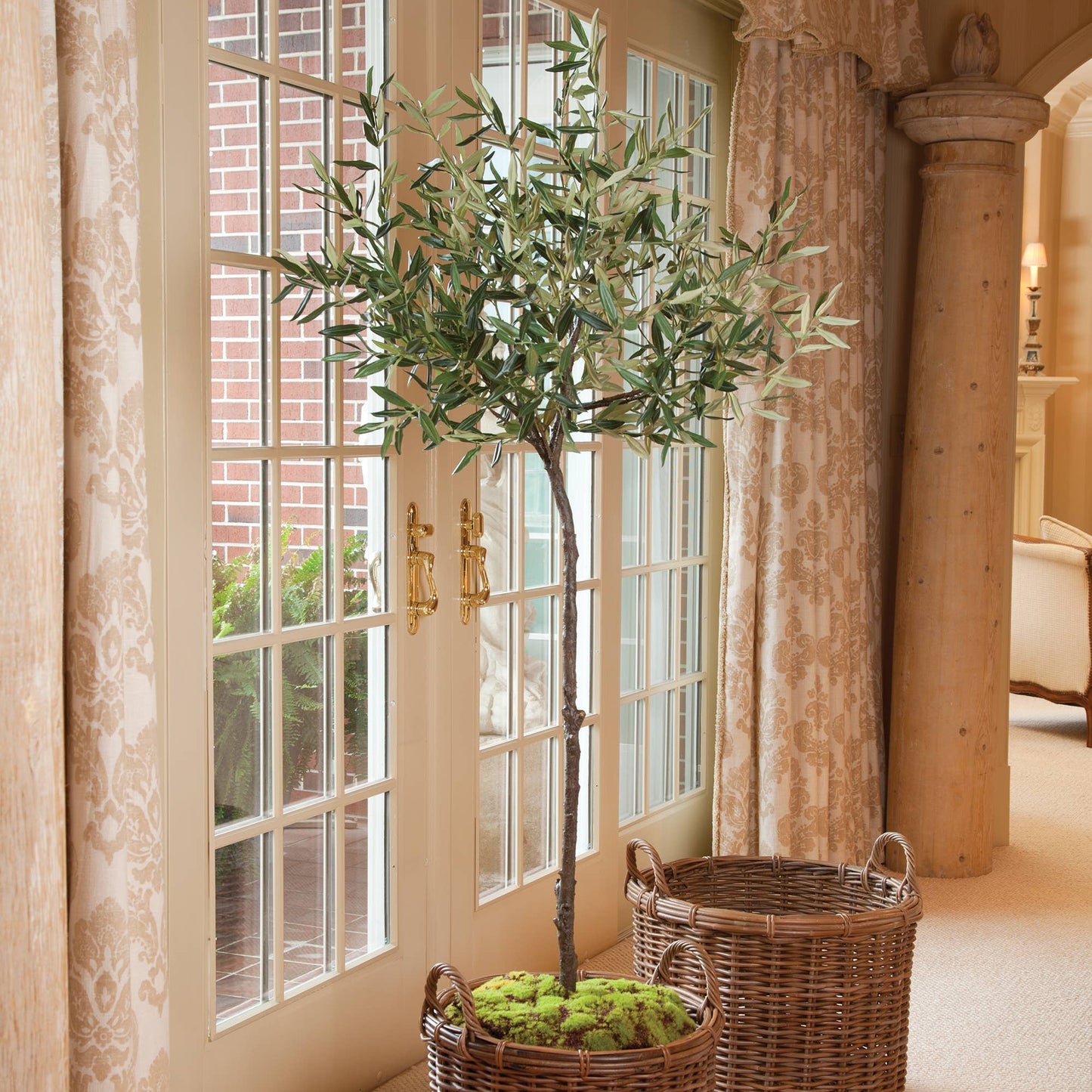 Olive Tree In Moss Pot 69"