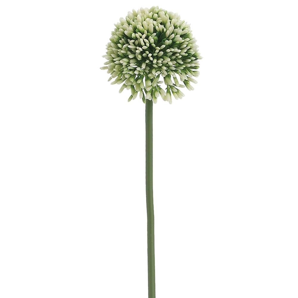 17.5" Cream/Green Allium Spray