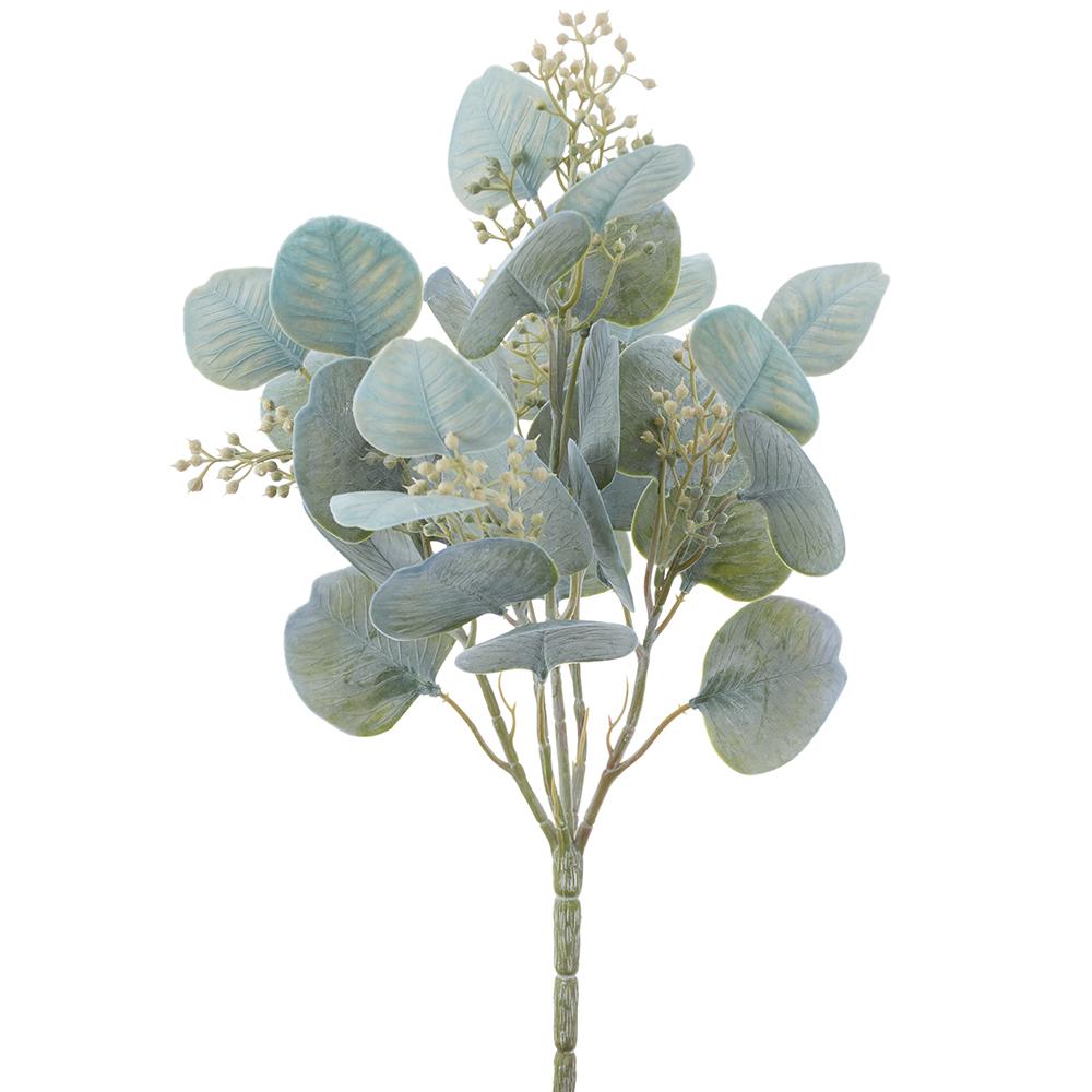 13" Eucalyptus Bush