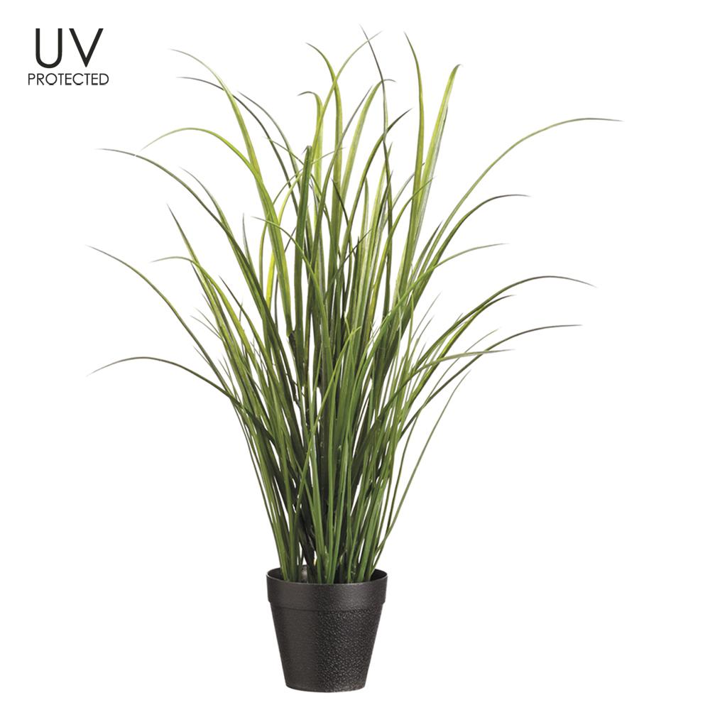 24" UV PROTECT TALL GRASS