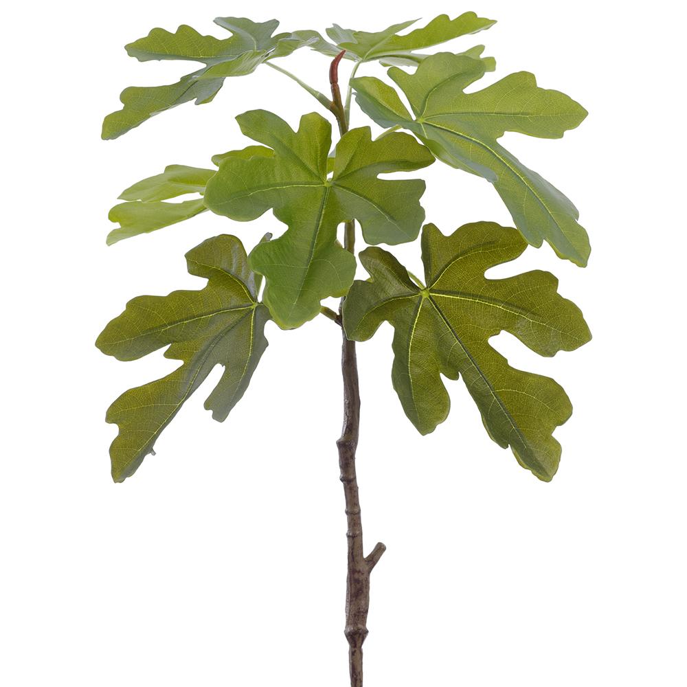 29.5" Fig Leaf Branch