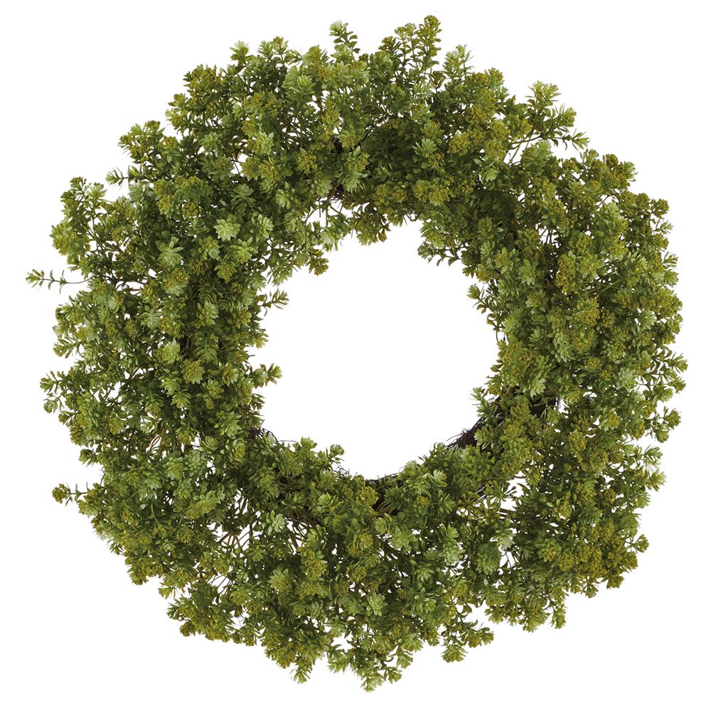 24"SEDUM WREATH GR