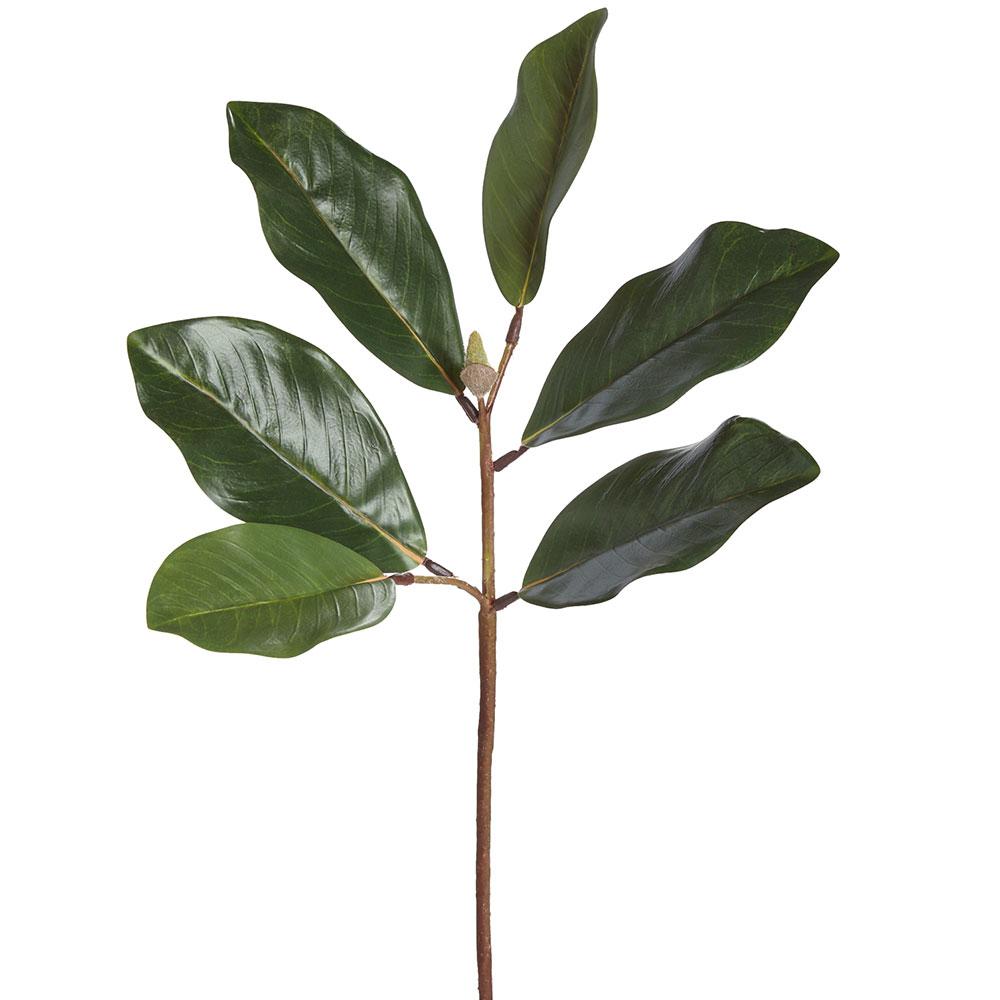 19.5" Magnolia Leaf Spray  Green