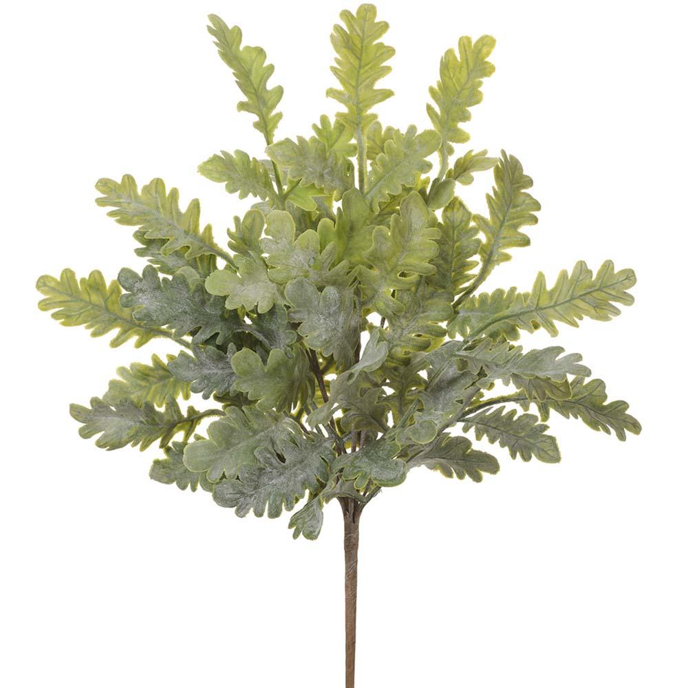 18" Green/Grey Dusty Miller Bush