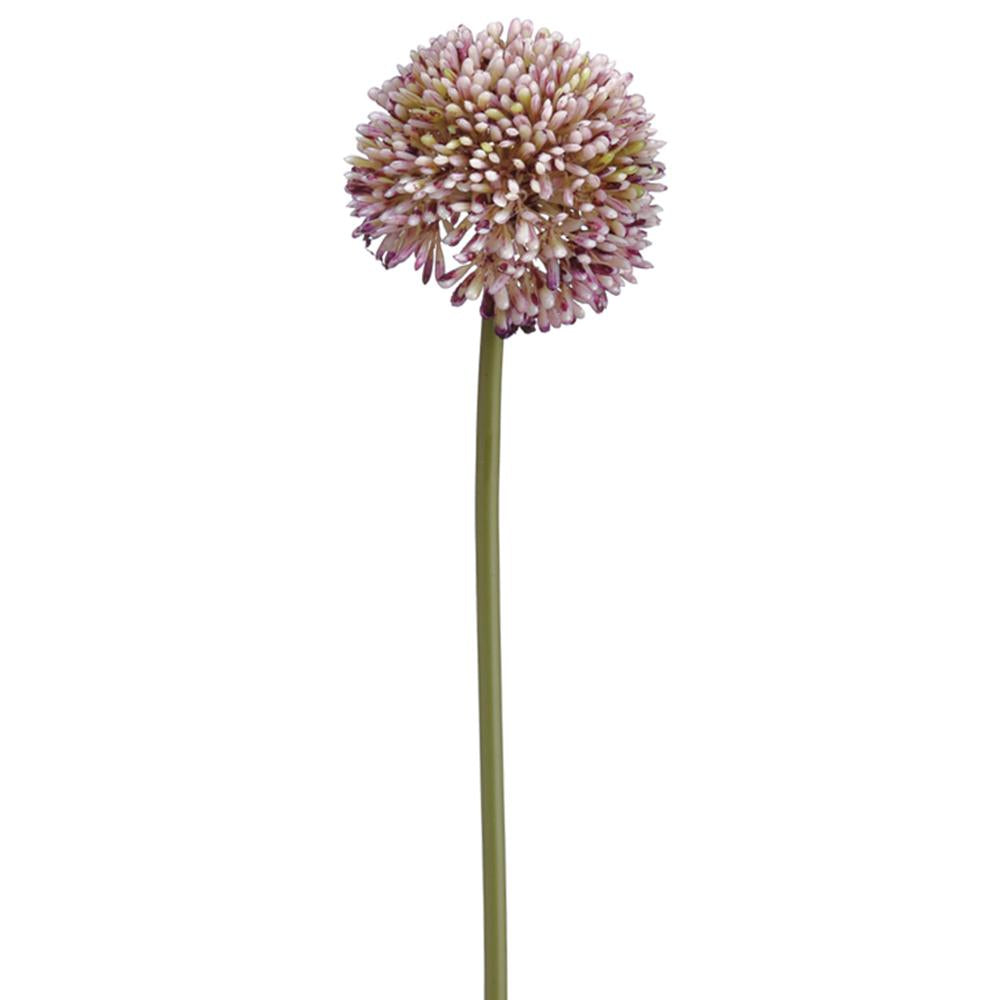 17.5" Purple/Green Allium Spray