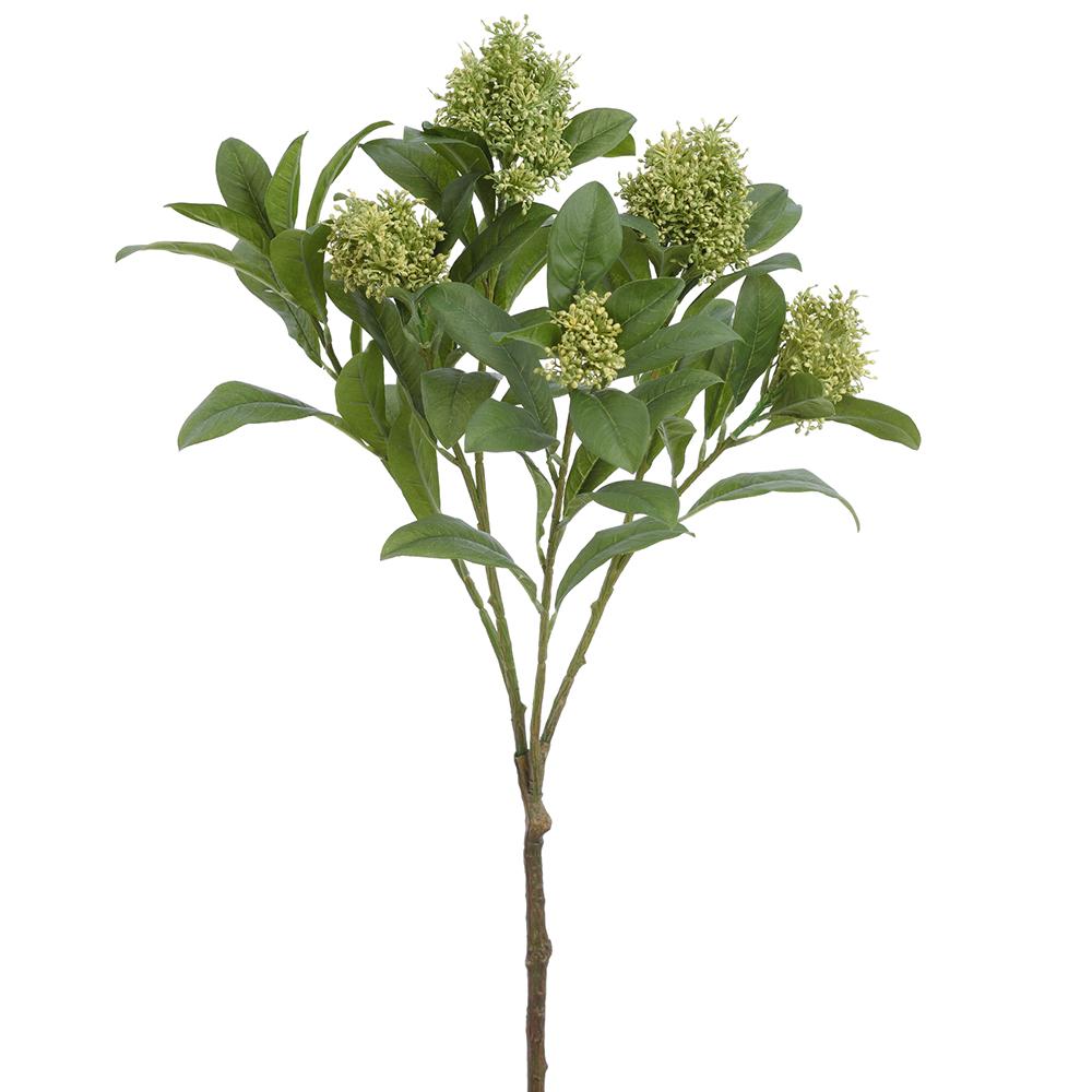 24" Skimmia Branch