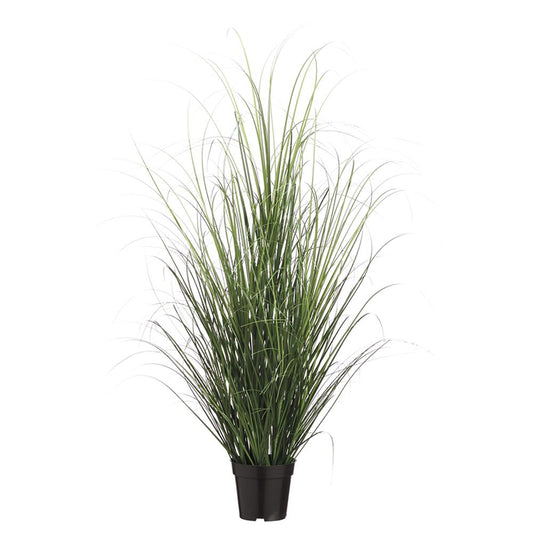 48" GRASS BUSH IN POT GR/TT