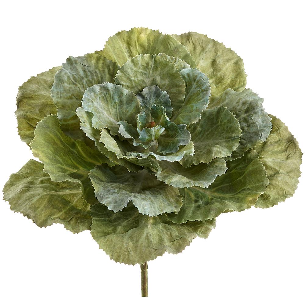 10" ORNAMENTAL CABBAGE PICK