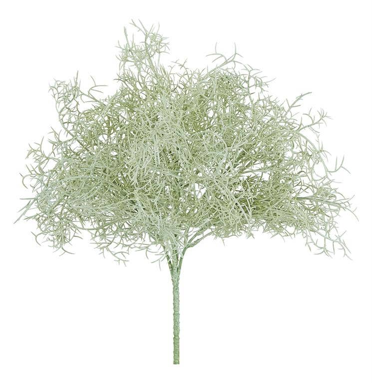 Spanish Moss Bush, 14", Sage