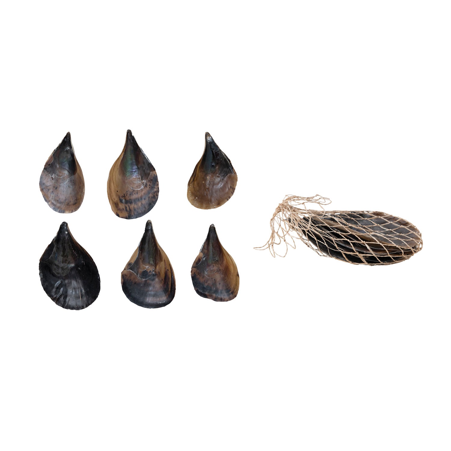 Pay With Shells Pen Clam Shells in Bag