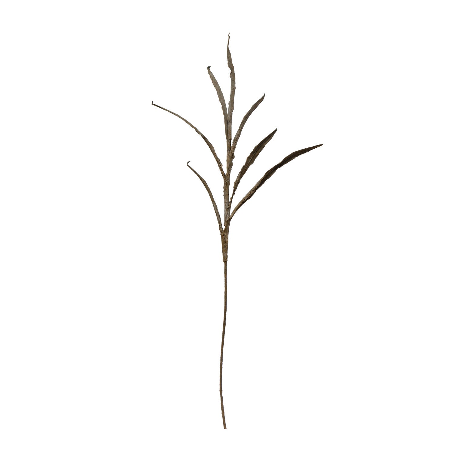 Faux Botanical, Plaster Finish, Dark Olive