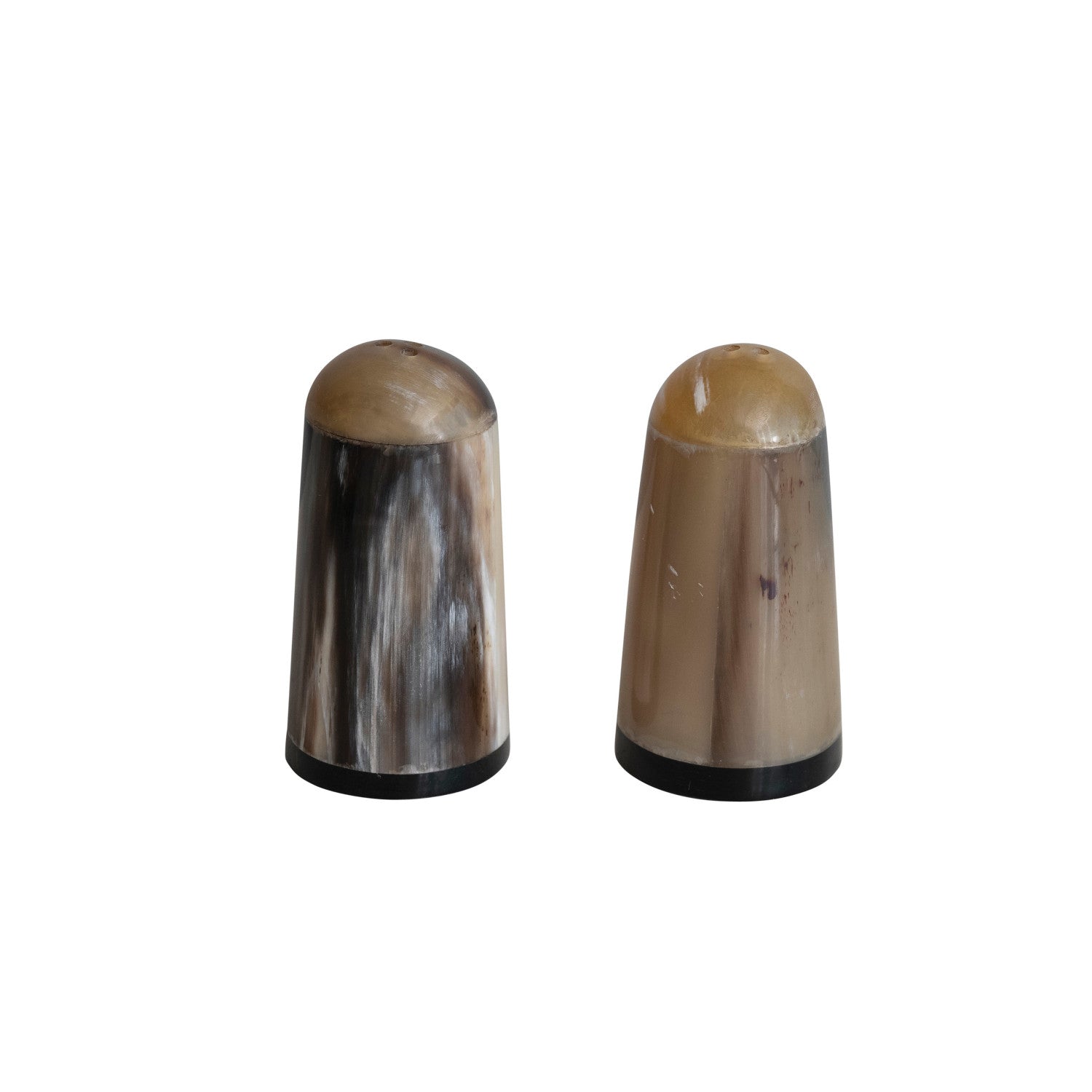 Horn Salt Shakers, Set of 2 (Each One Will Vary)
