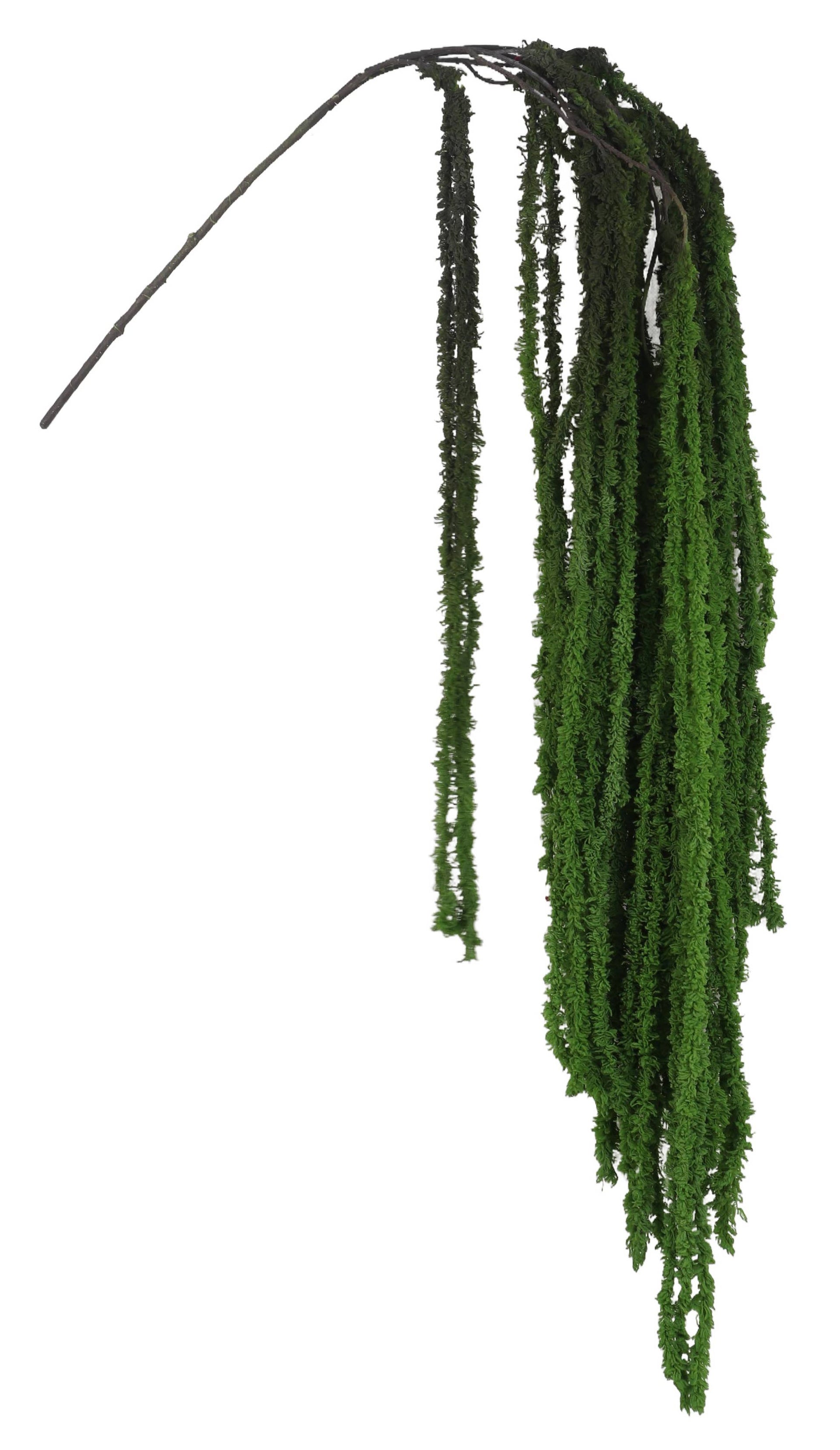 SOFT AMARANTHUS SPRAY, 45", GREEN